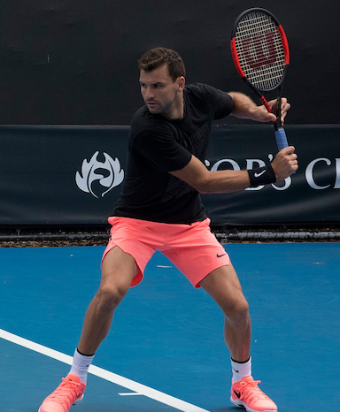 Գրիգոր Դիմիտրով